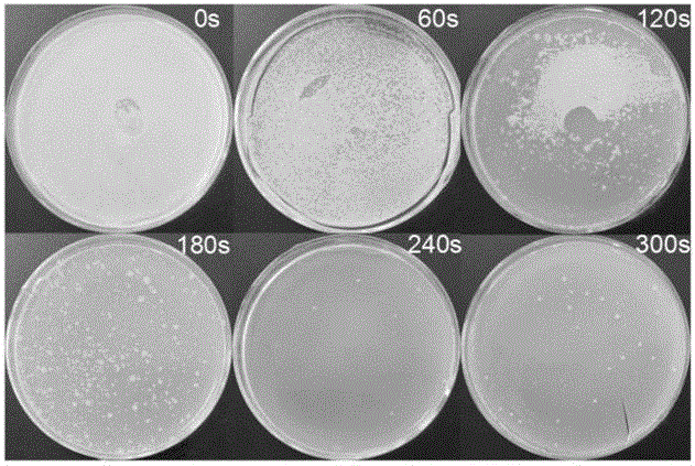 Plasma water preparation method and preparation device for speculum sterilization