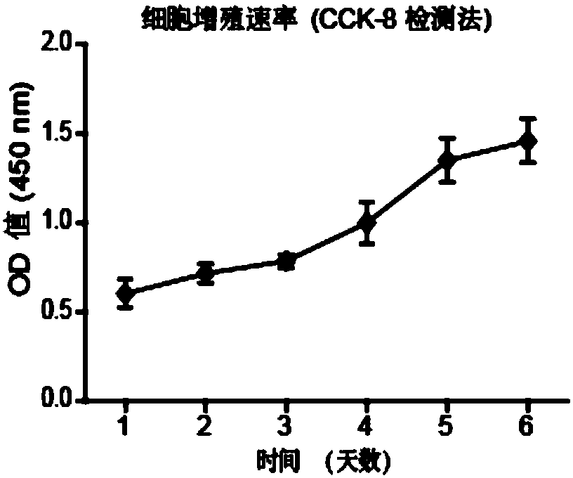 A liver cancer cell line stl-c1 derived from human hepatocellular carcinoma paracancerous tissue and its line establishment method