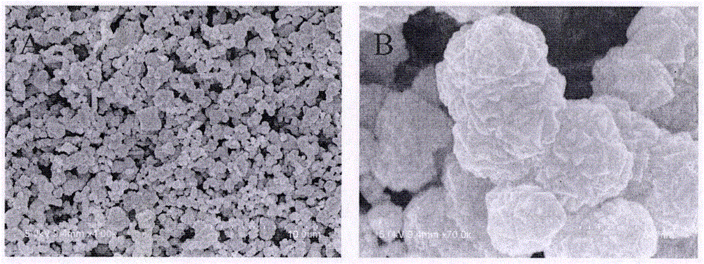 Preparation method of novel micro-nano prussian blue particles