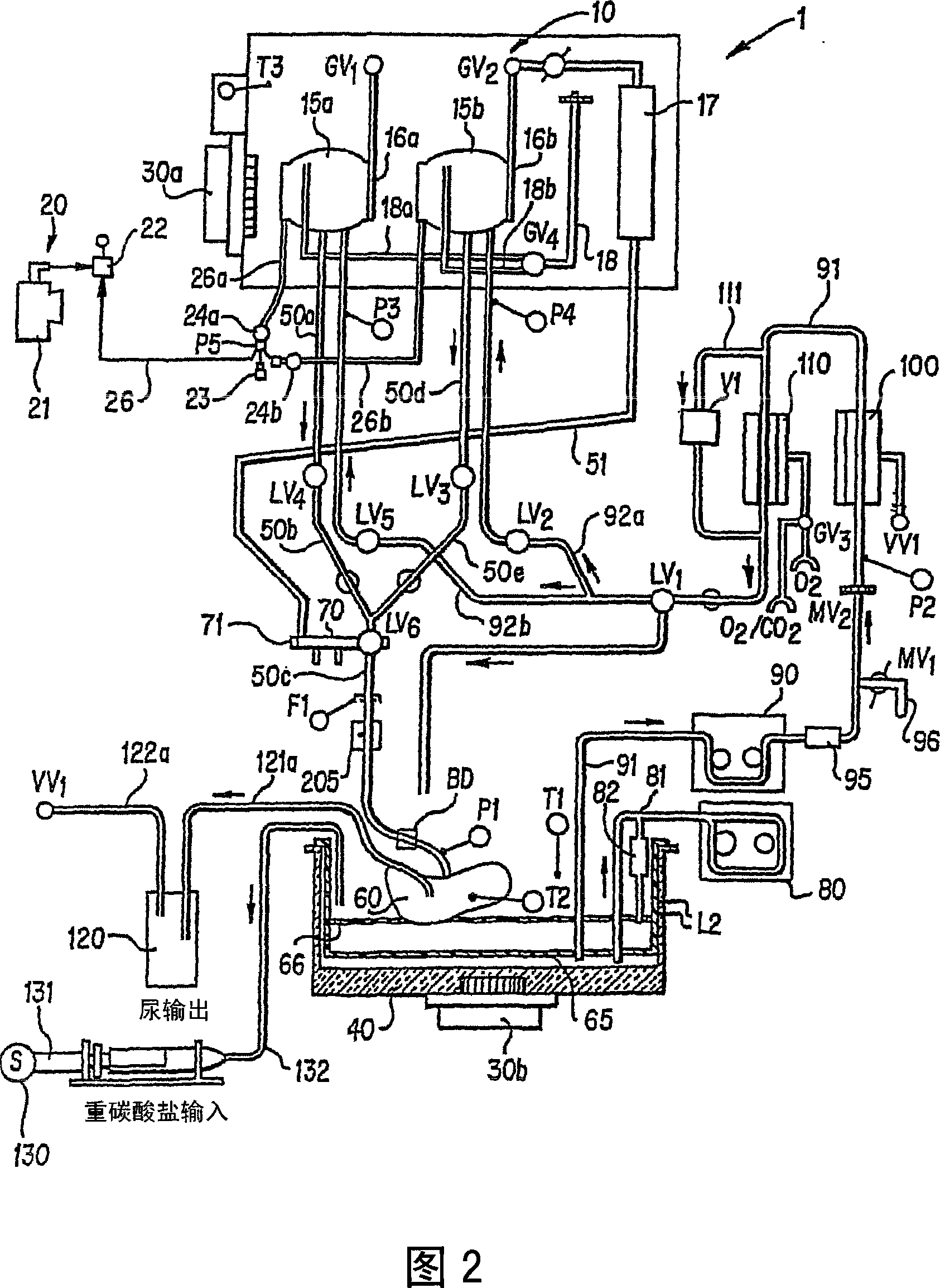 Apparatus and method for determining effects of a substance on an organ