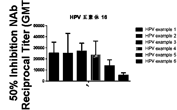 Recombinant human papilloma virus 16L1 protein and its use