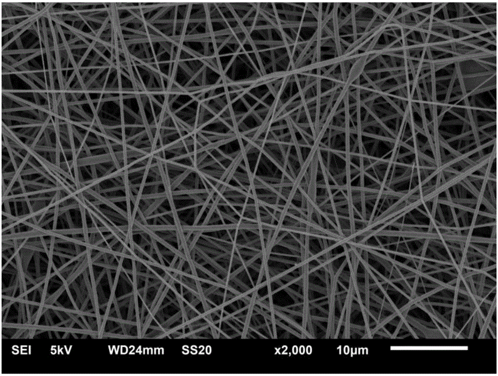 Nitrogen-doped carbon/titanium dioxide composite nanofibers carrier preparation method
