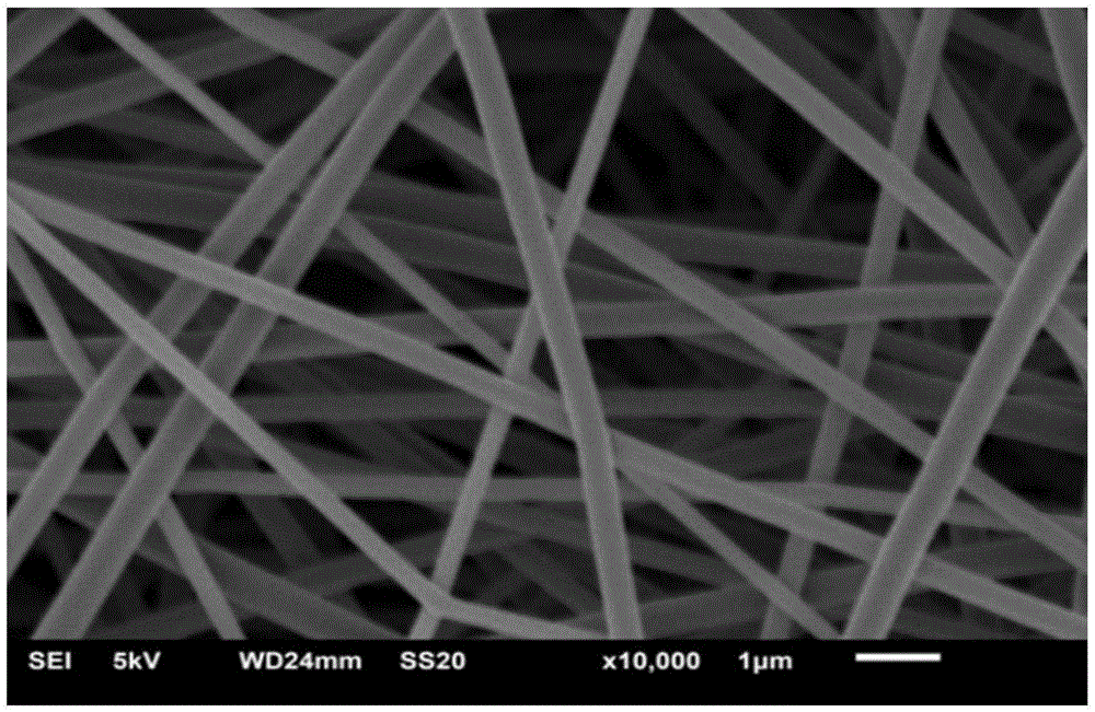 Nitrogen-doped carbon/titanium dioxide composite nanofibers carrier preparation method