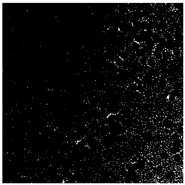 Method for detecting mercury ions through chemiluminescence method based on Pt nanoparticles