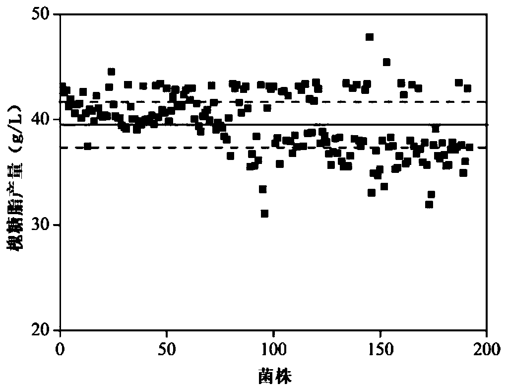 Method for high-throughput screening of high-yield sophorolipid strains