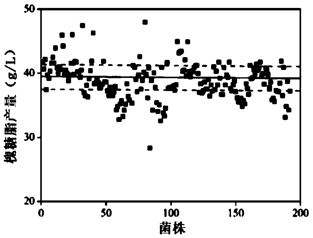 Method for high-throughput screening of high-yield sophorolipid strains