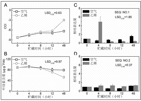 Critical ethylene response factor (ERF) for regulating and controlling orange peel chlorophyll removal and application of critical ERF