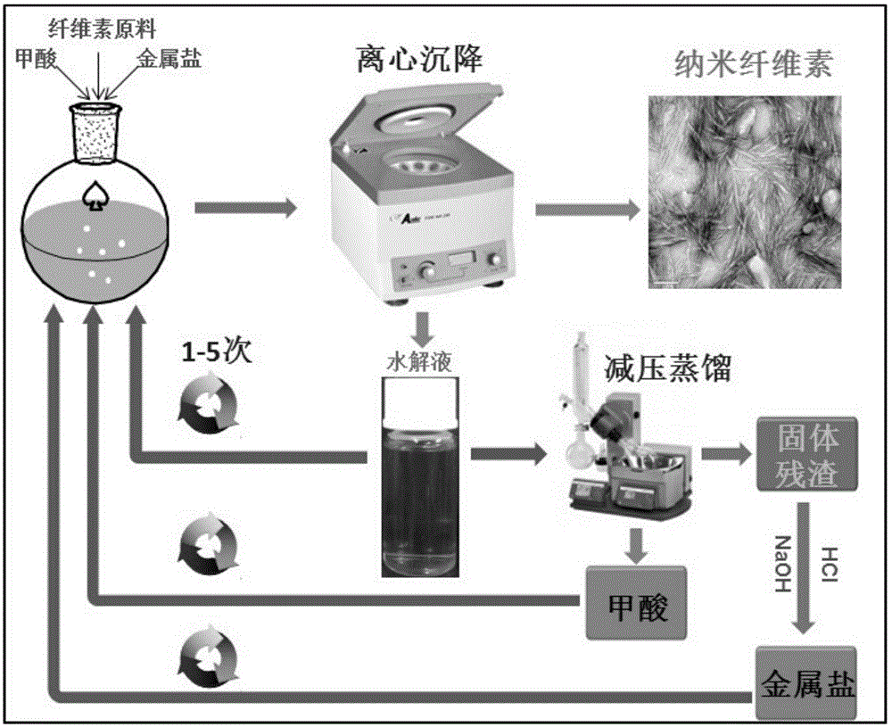 Method for preparing nano cellulose by formic acid hydrolysis by using metal salt catalyst