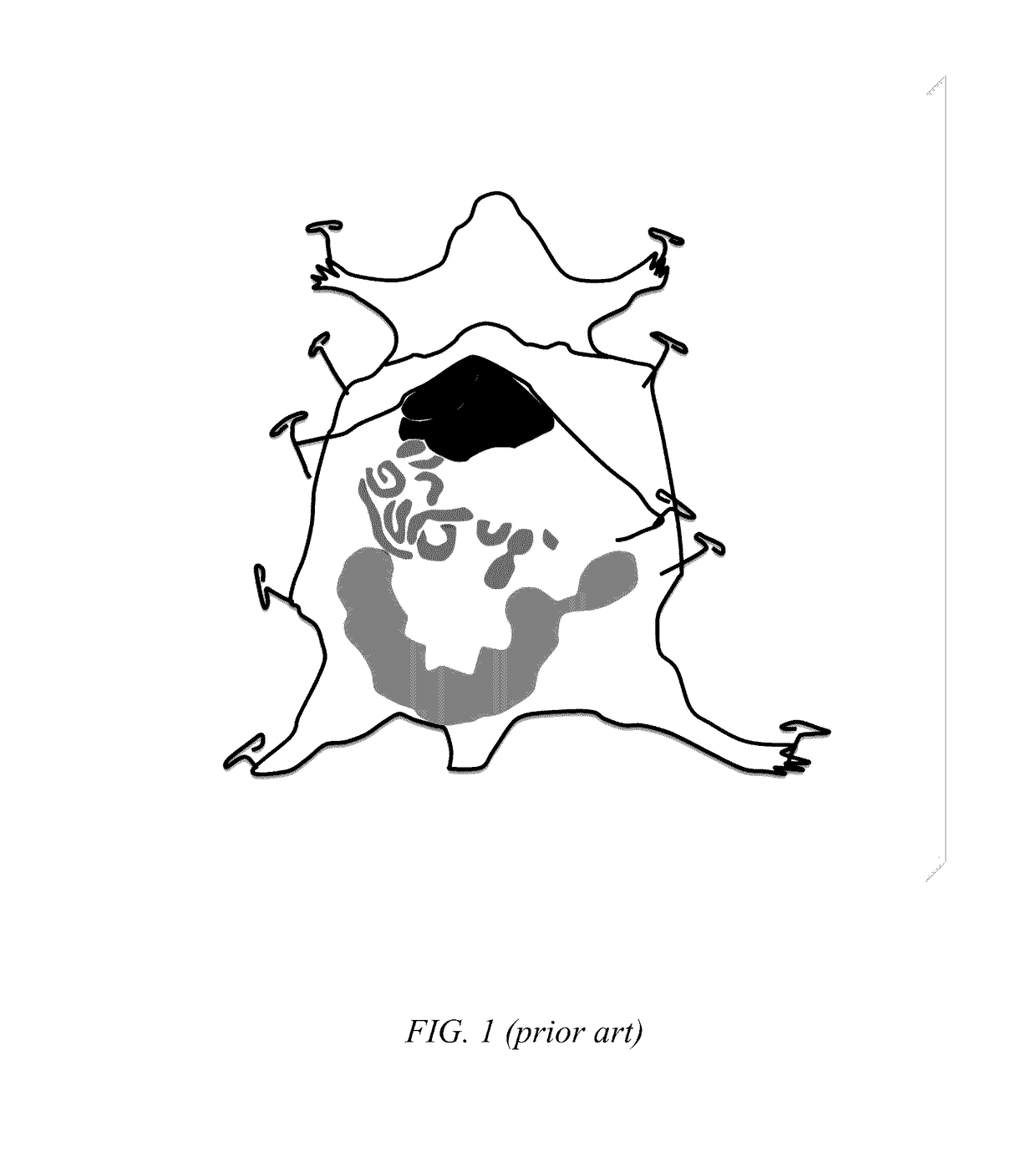 Rodent immobilization apparatus and method of use thereof