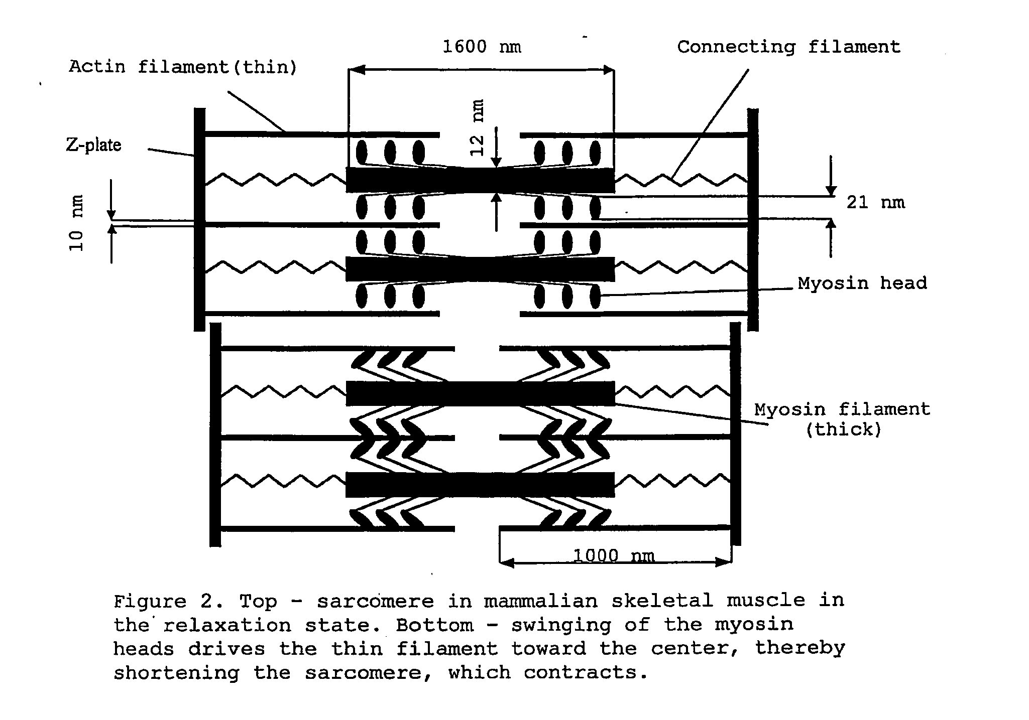 Electromechanical Transducer