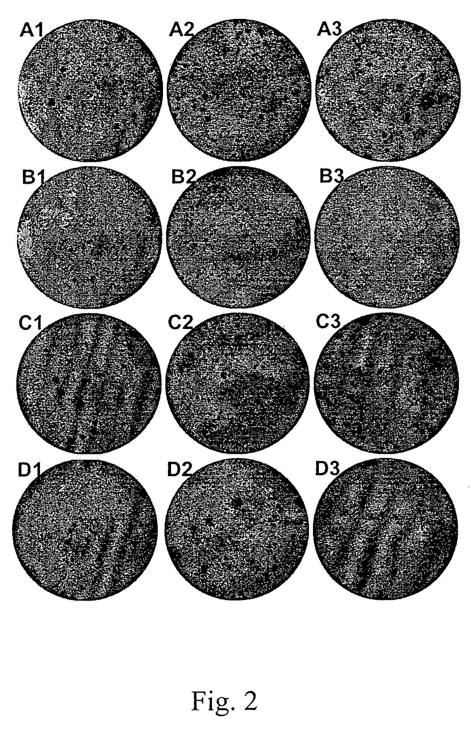 Super-antigen fusion proteins and the use thereof