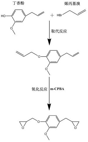 Recyclable eugenol-based epoxy resin Vitrimer material and preparation method thereof