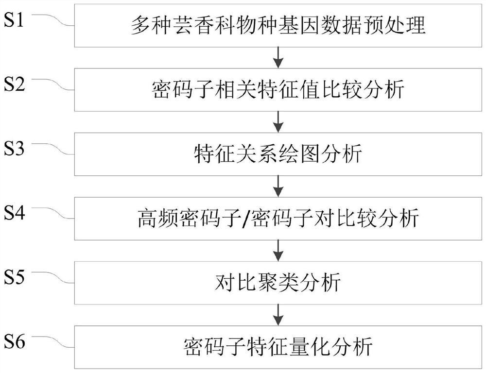 Rutaceae multi-species codon usage pattern analysis method and system