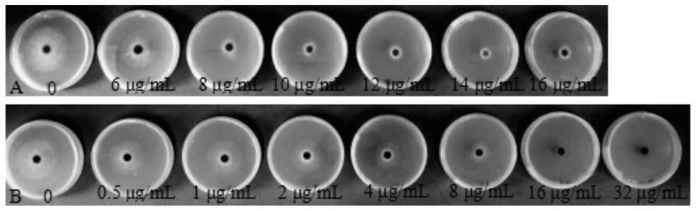 A kind of Daisenlian compound fungicide and its application