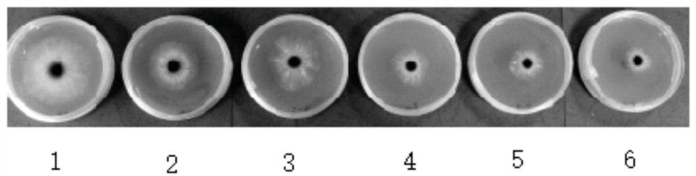 A kind of Daisenlian compound fungicide and its application