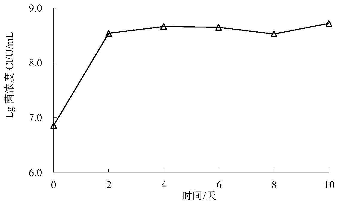 Rhodococcus ruber HDRR1 for purifying inorganic nitrogen and phosphorus in aquaculture tail water of seawater ponds and applications of rhodococcus ruber HDRR1