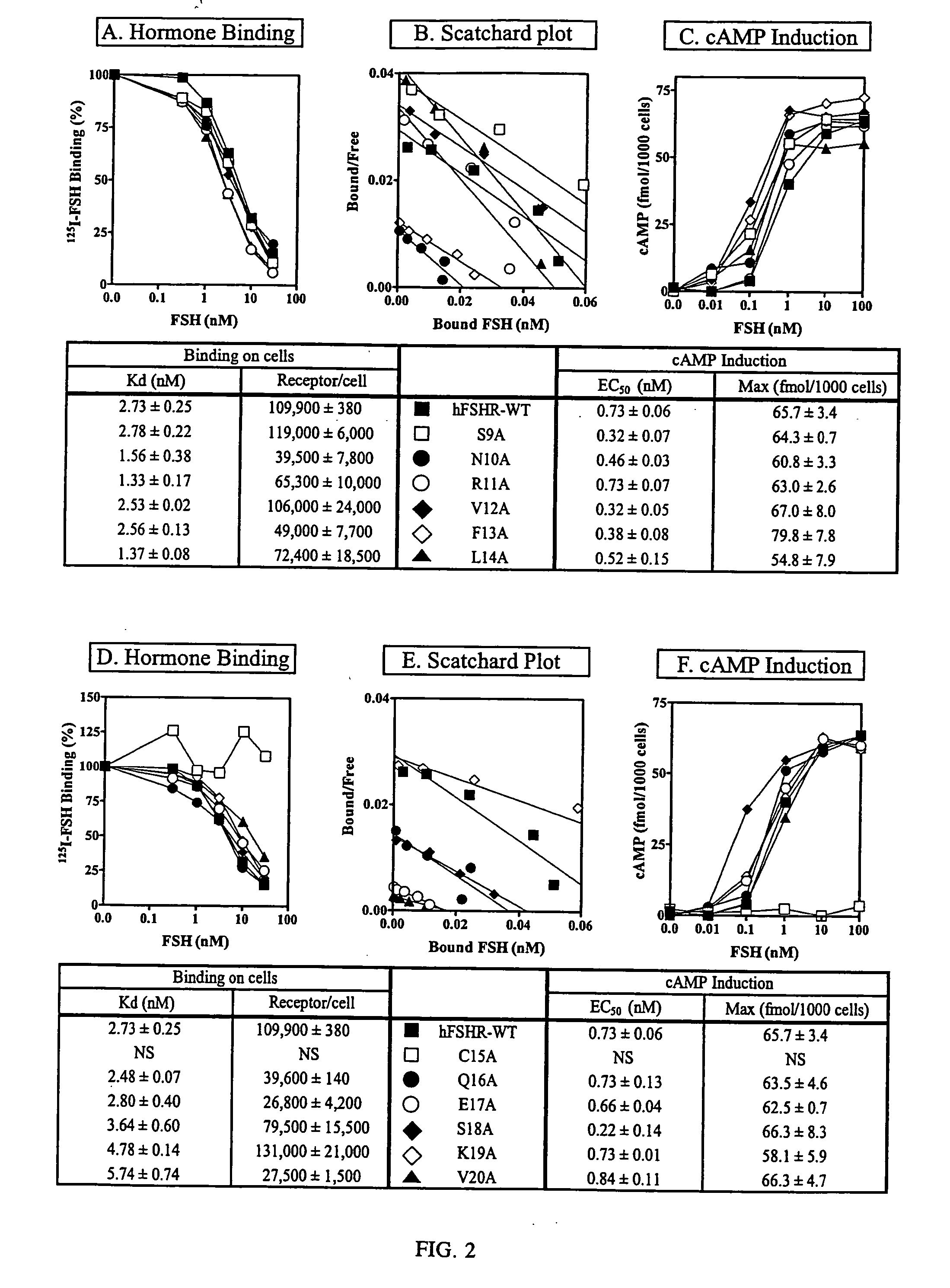 Agents and methods for modulating interactions between gonadotropin hormones and receptors