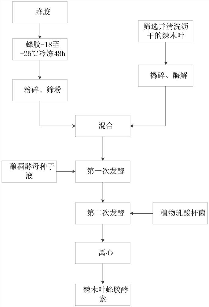 Preparation method of moringa oleifera leaf propolis enzyme and enzyme composition