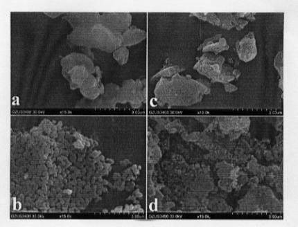 Preparation method for natural calcium base porous solid alkaline catalyst for catalysis in interesterification