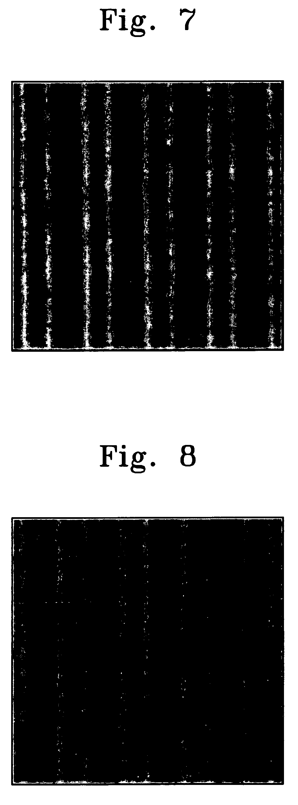 Polymer, top coating layer, top coating composition and immersion lithography process using the same