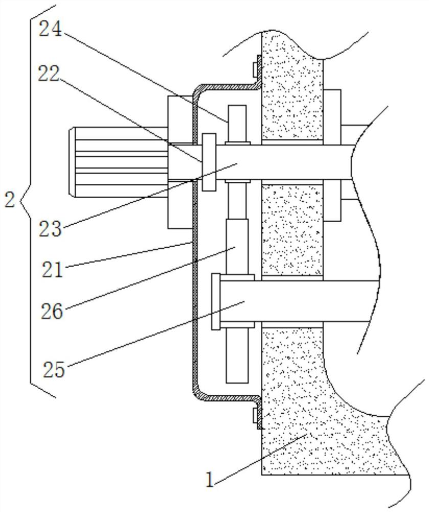 A pet dog drying device based on self-propelled swinging action