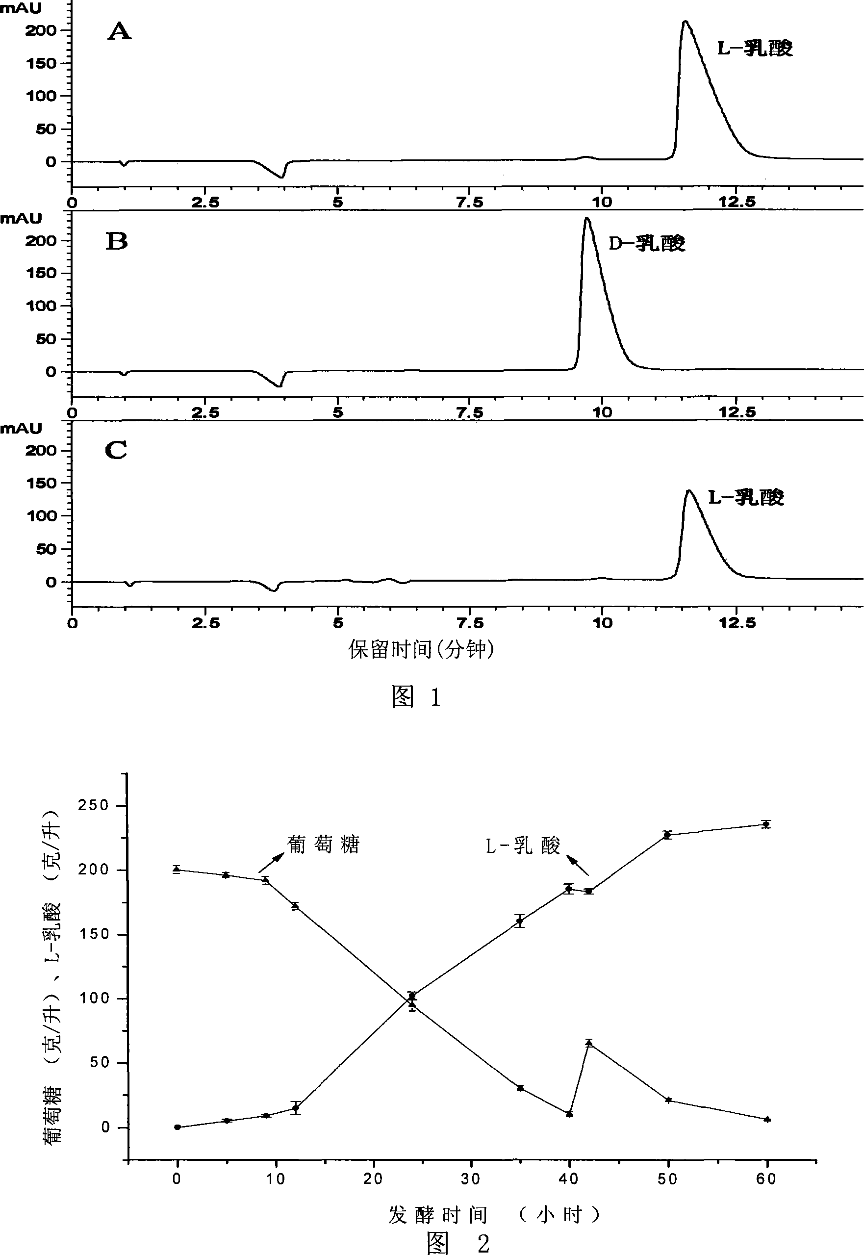 Method for producing L-lactic acid and isoduicitol lactobacillus special for the same