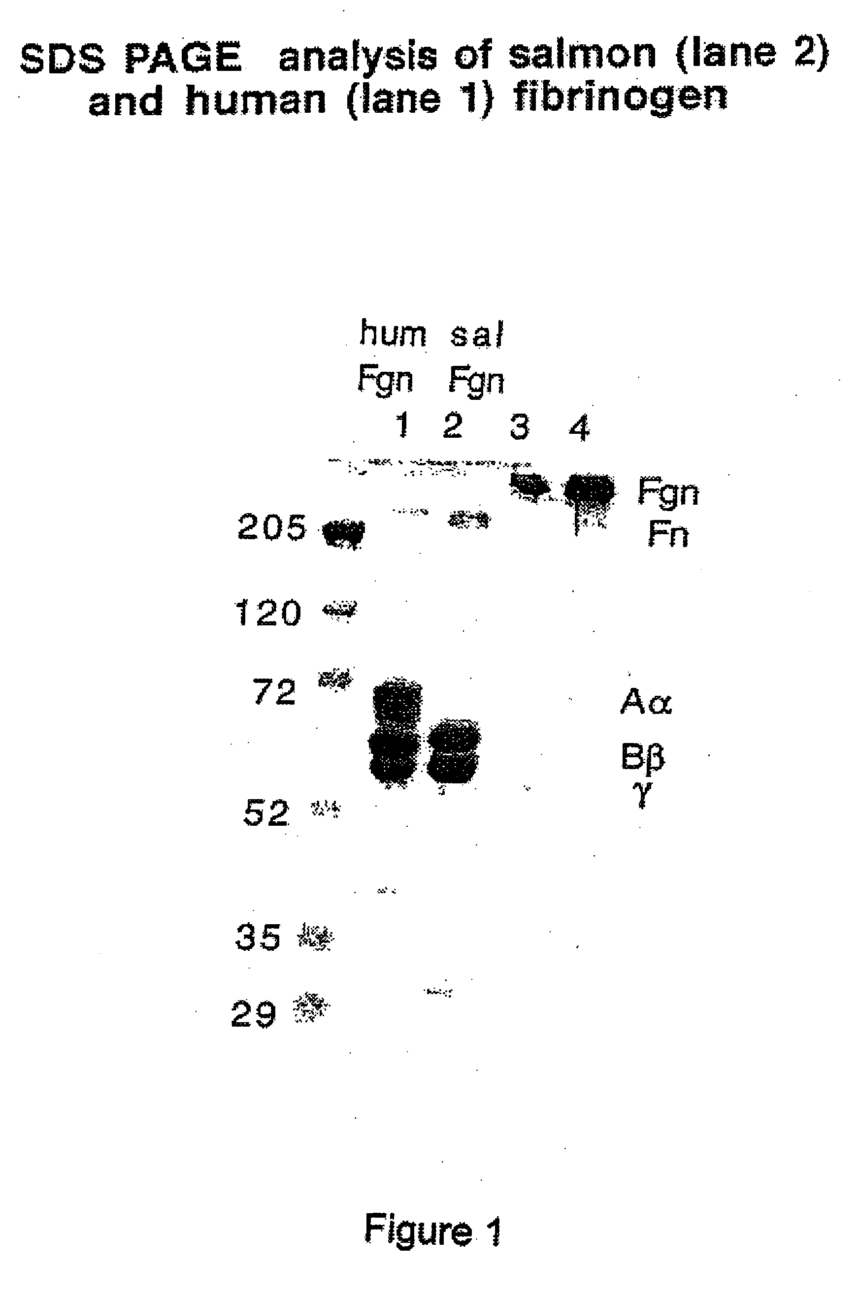 Method of using fish plasma components for tissue engineering