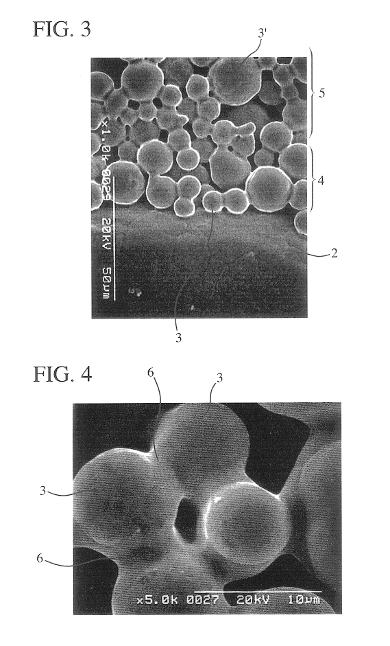 Photocatalyst-supporting body and photocatalytic apparatus