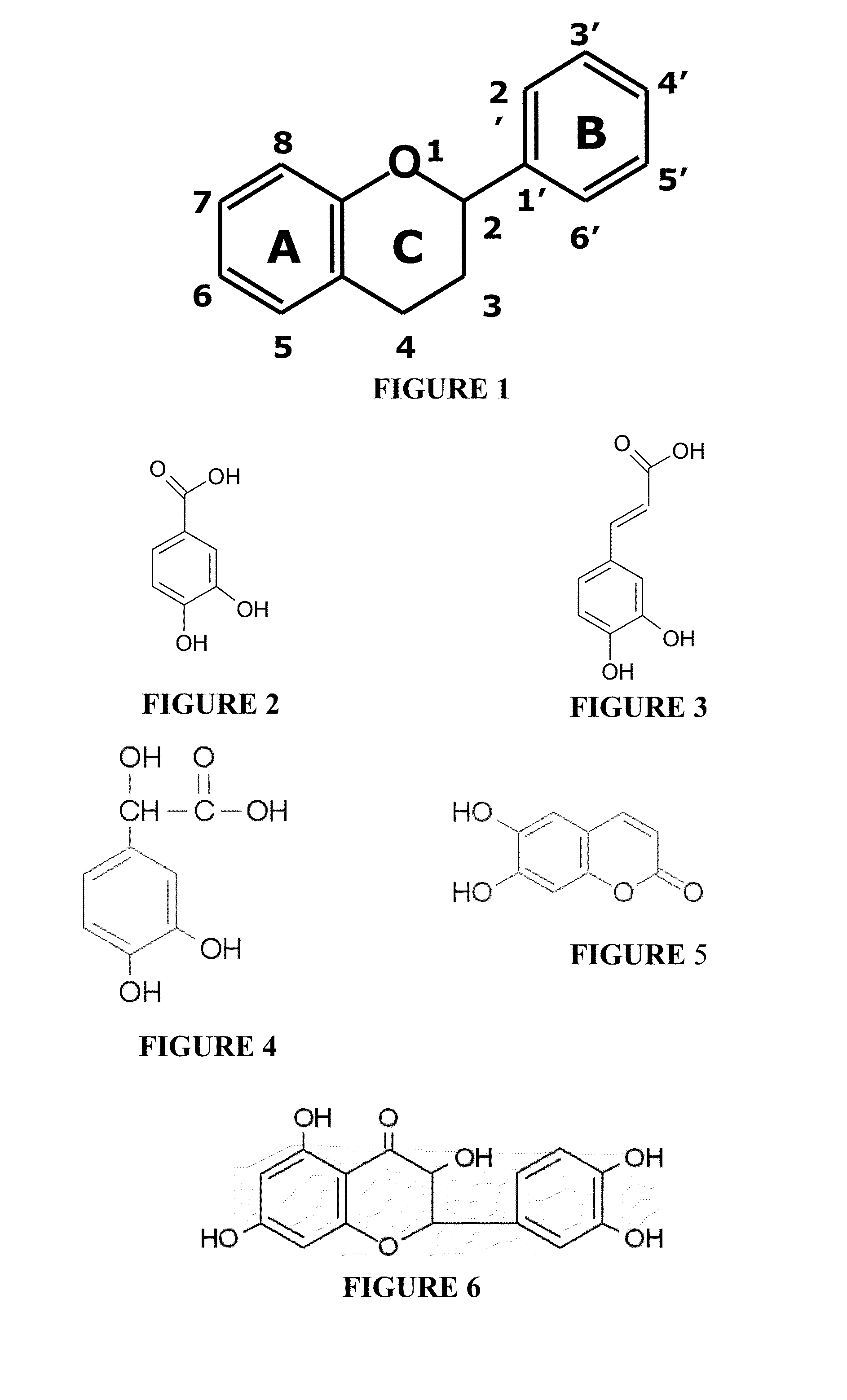 Water soluble and activable phenolics derivatives with dermocosmetic and therapeutic applications and process for preparing said derivatives