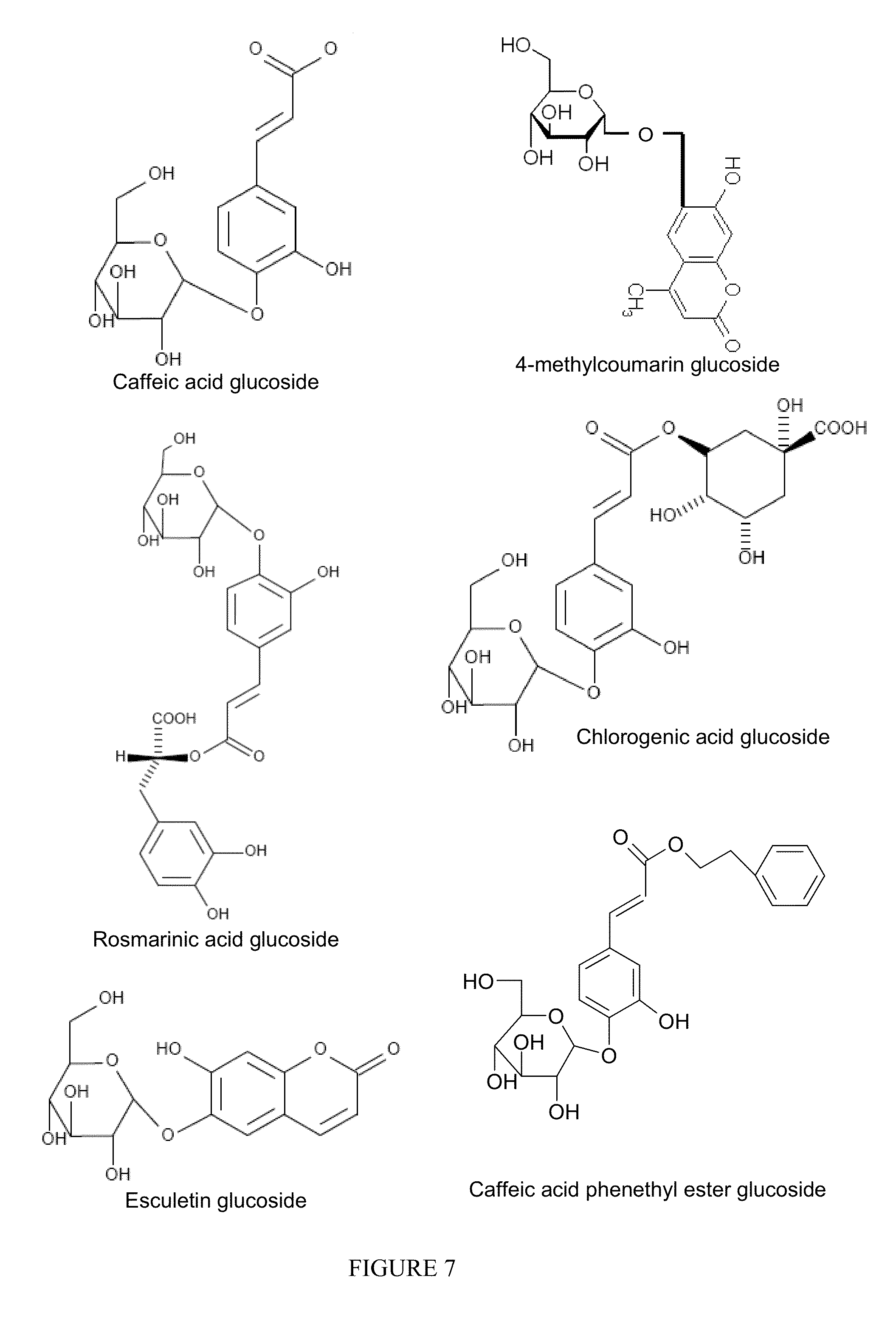 Water soluble and activable phenolics derivatives with dermocosmetic and therapeutic applications and process for preparing said derivatives