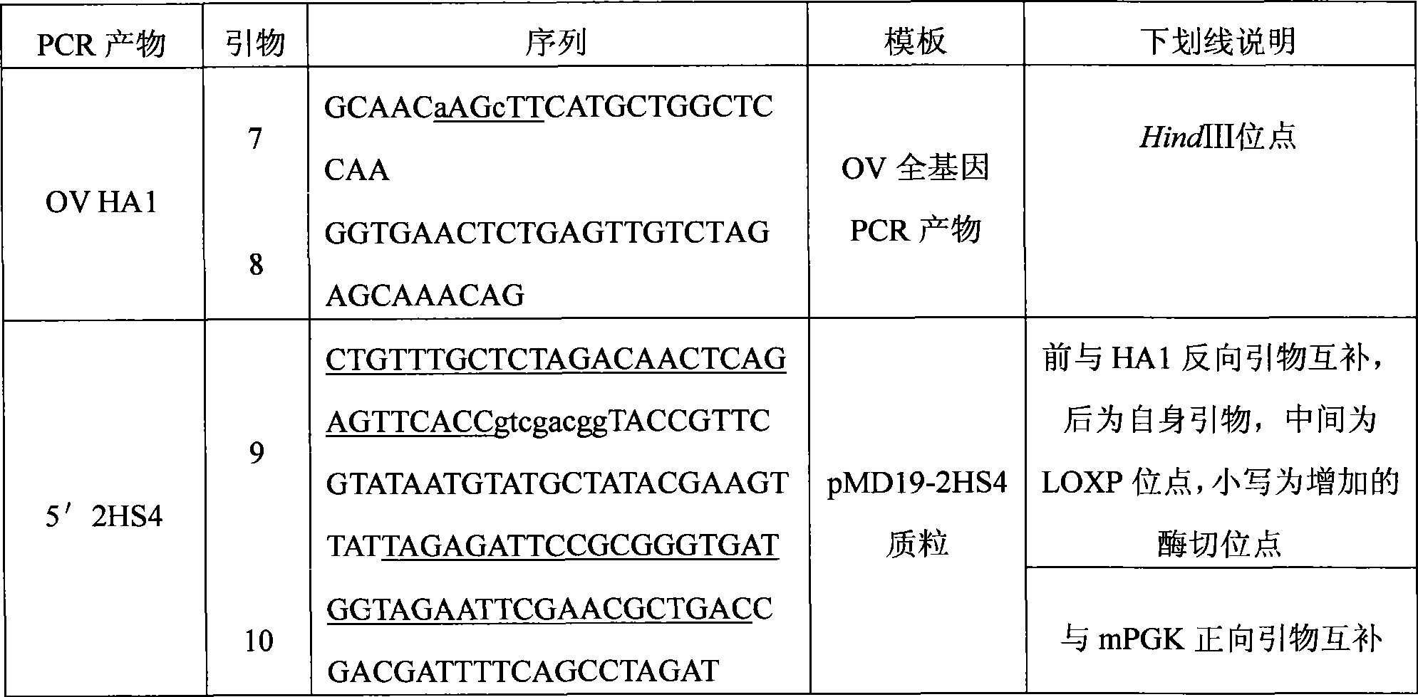Gene target vector based on bird gland related virus and construction method thereof