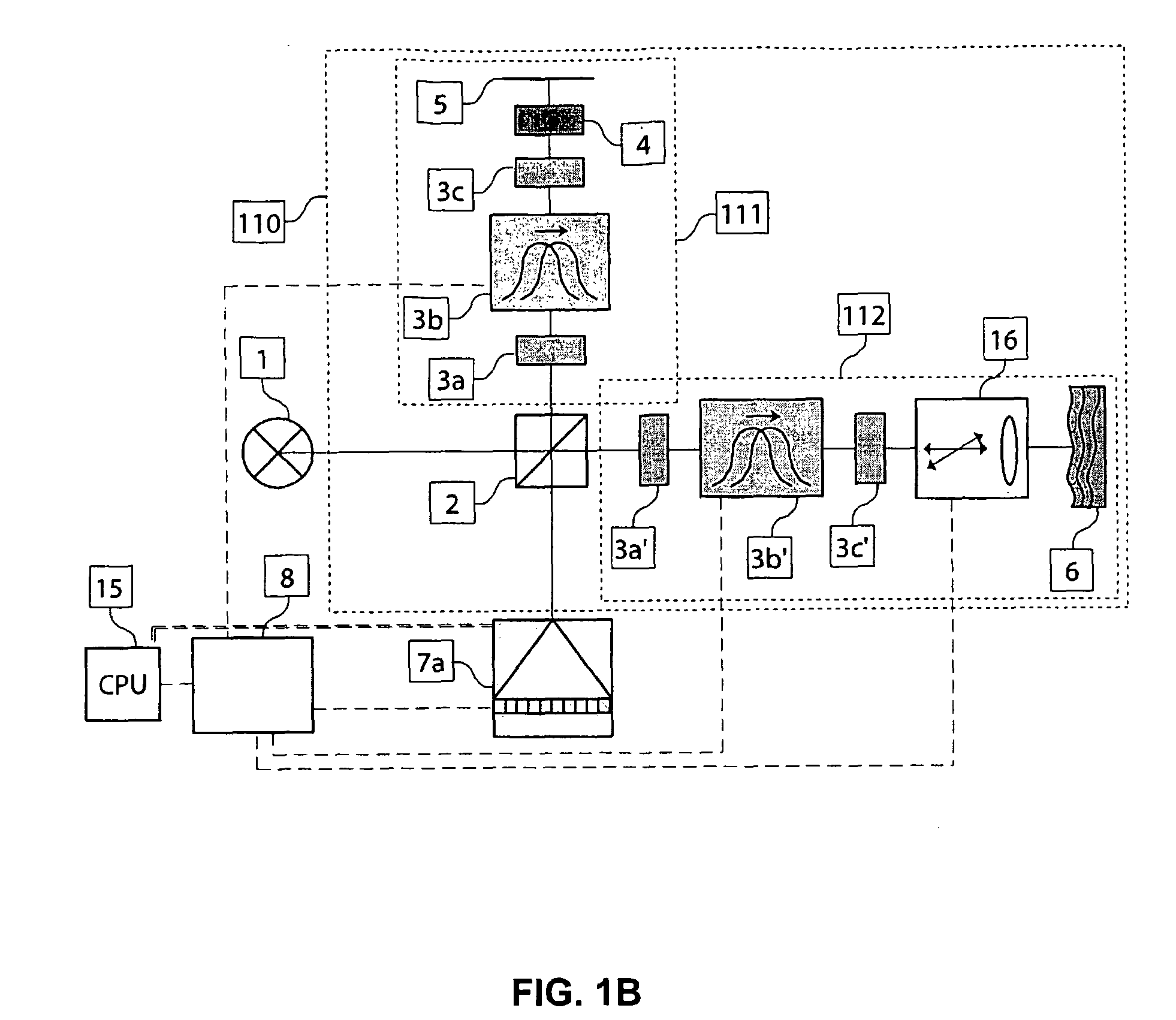 Phase Sensitive Fourier Domain Optical Coherence Tomography