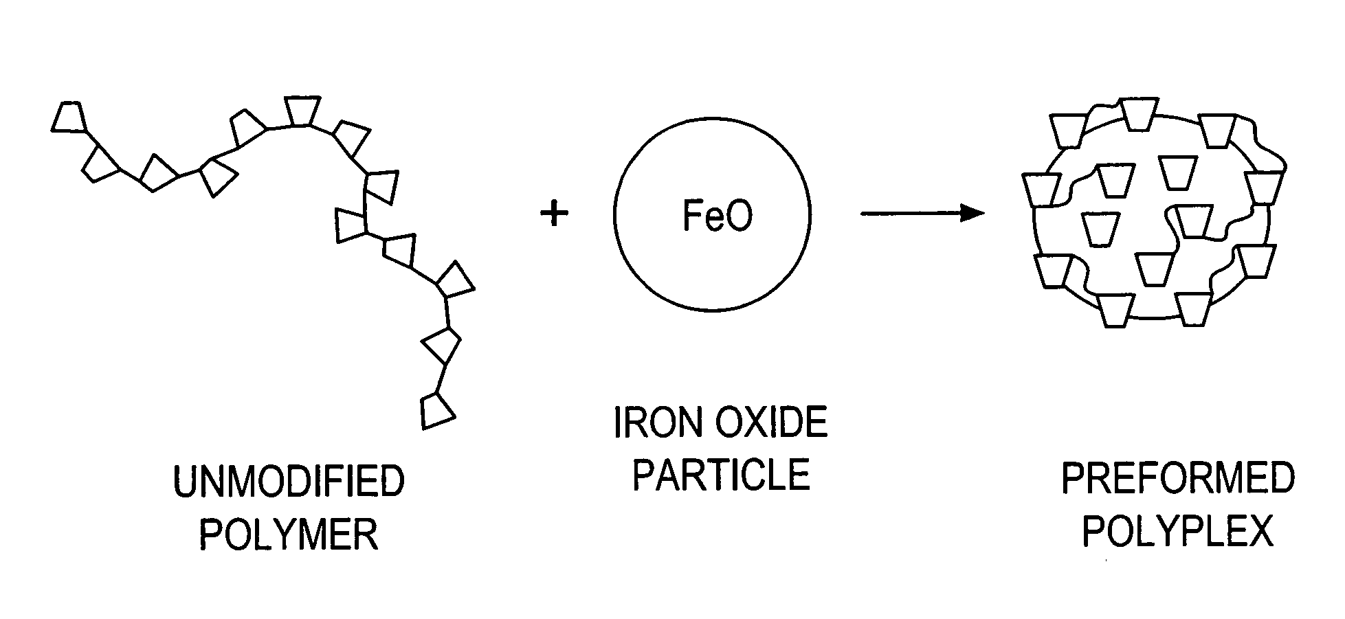 Polymer-coated paramagnetic particles
