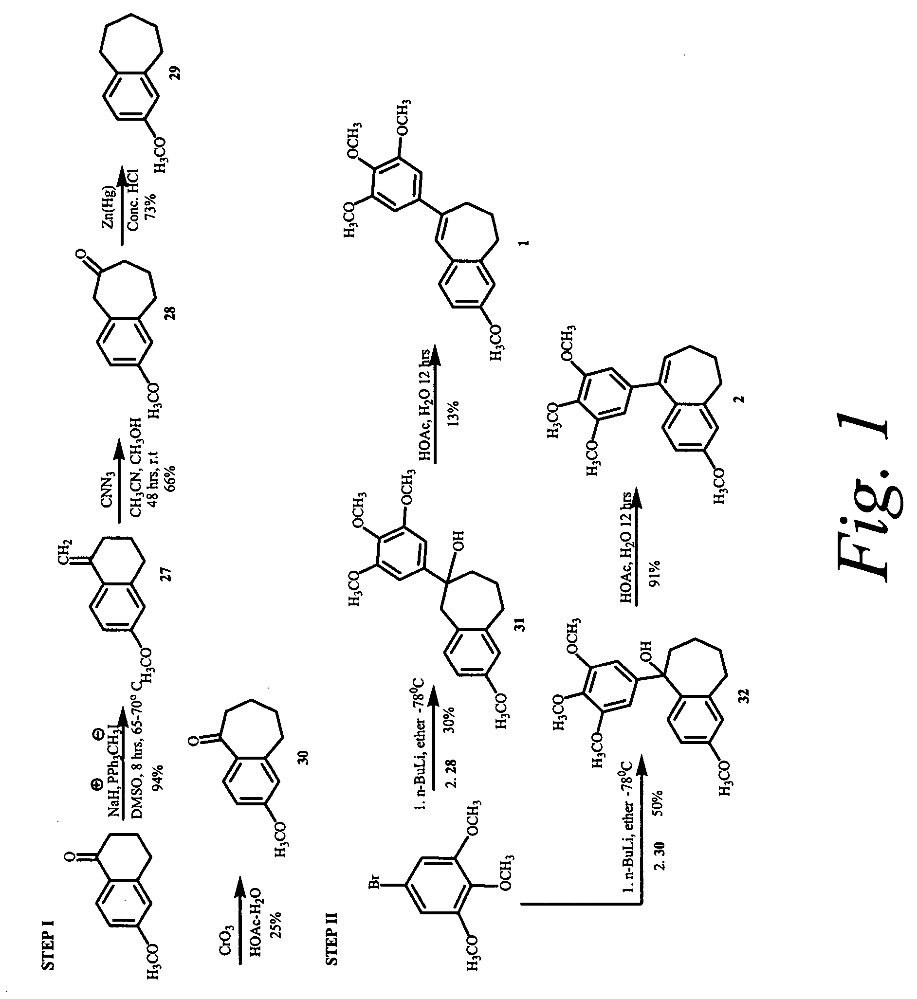 Combretastatin analogs with tubulin binding activity