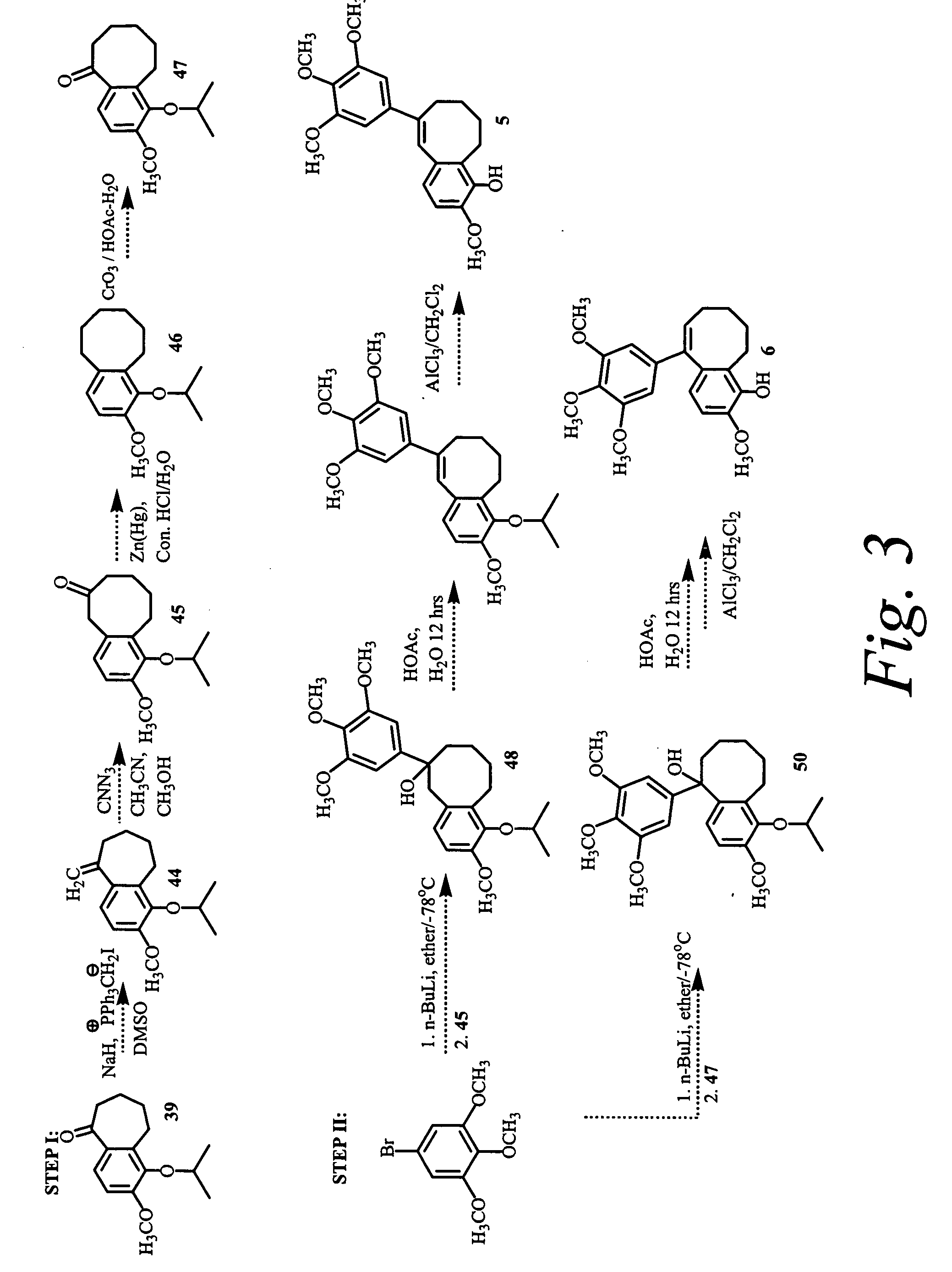 Combretastatin analogs with tubulin binding activity