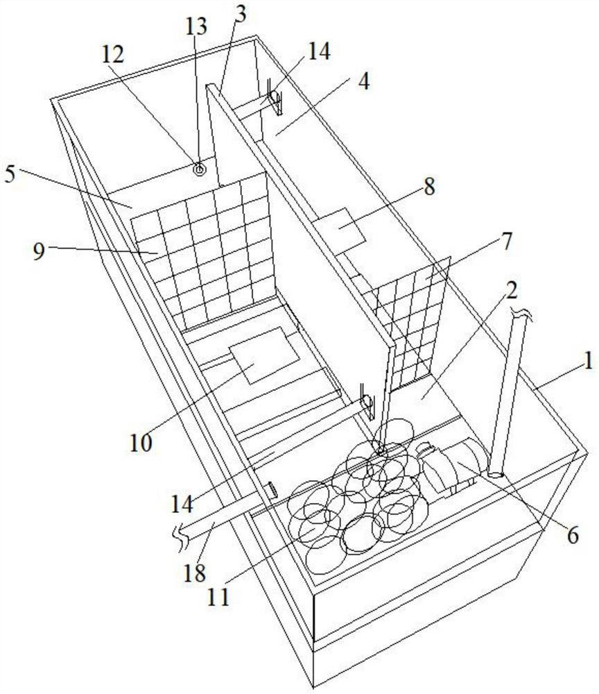 Device for comparing growth of coral with different flow rates