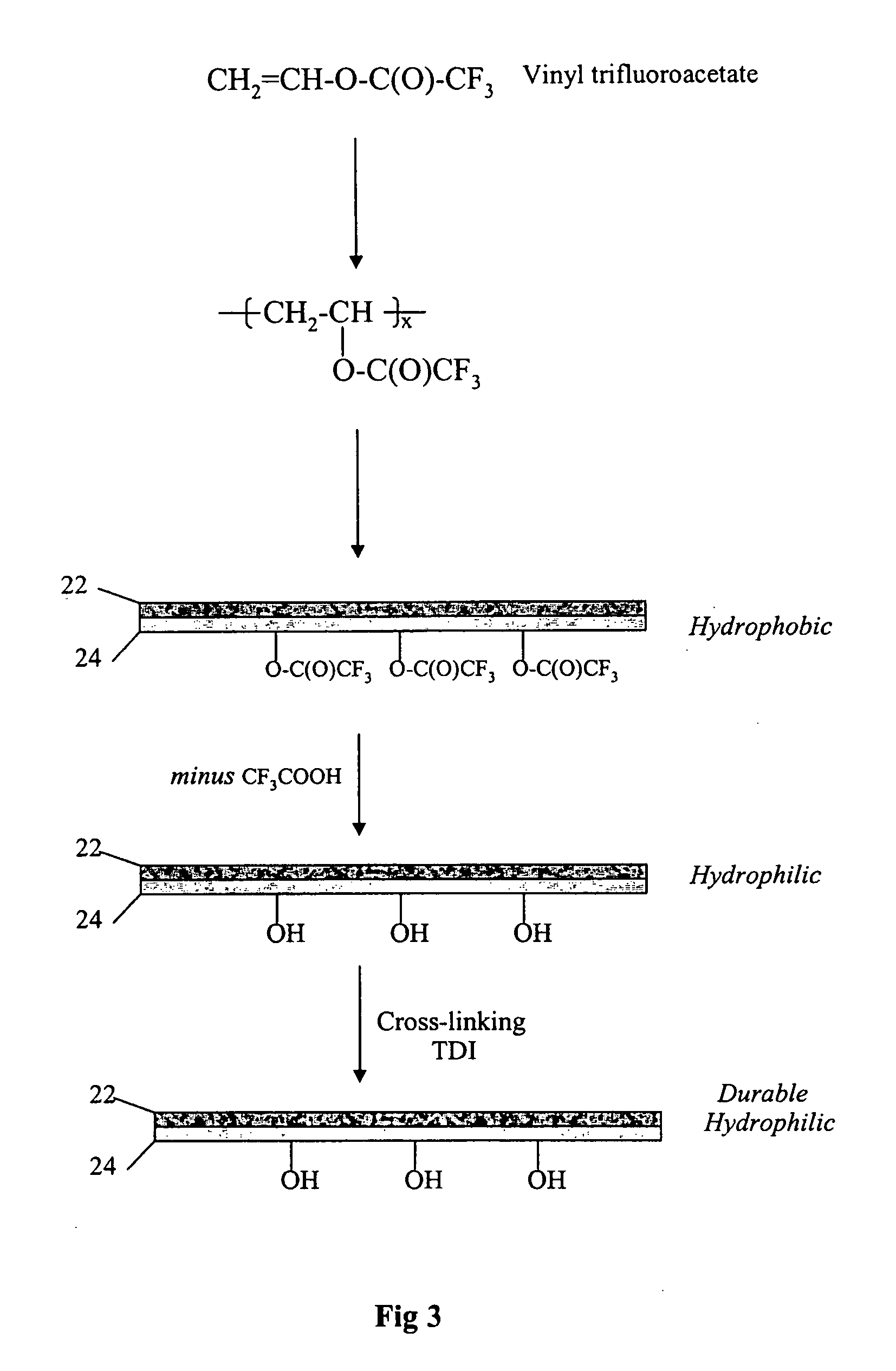 Composite membrane having hydrophilic properties and method of manufacture