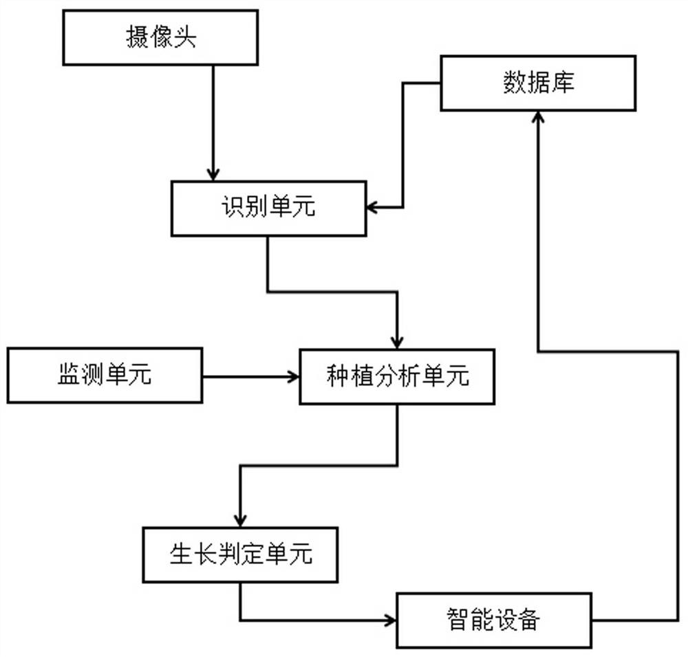 Large-scale planting supervision system for imitated wild cultivation of epimedium sagittatum