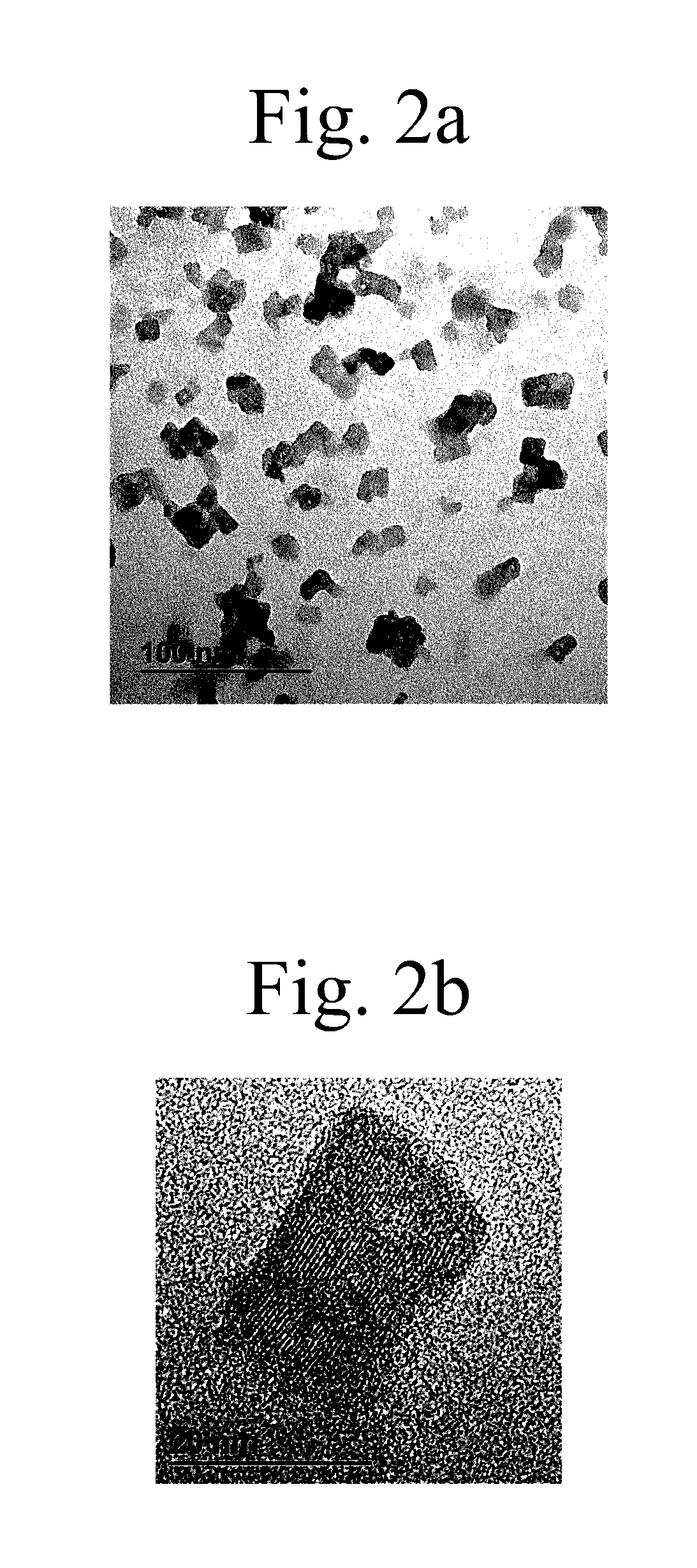 Nanoparticles for diagnosis and treatment of tumors