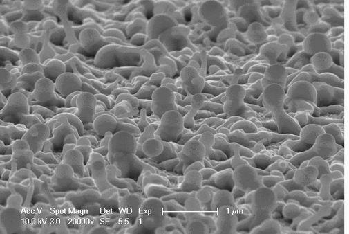 Method for preparing acicular and fungiform Bi2O3 nano materials