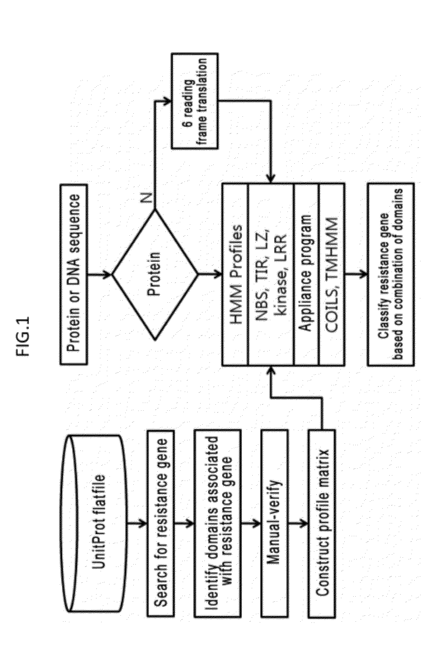 System and method for identifying and classifying resistance genes of plant using hidden marcov model