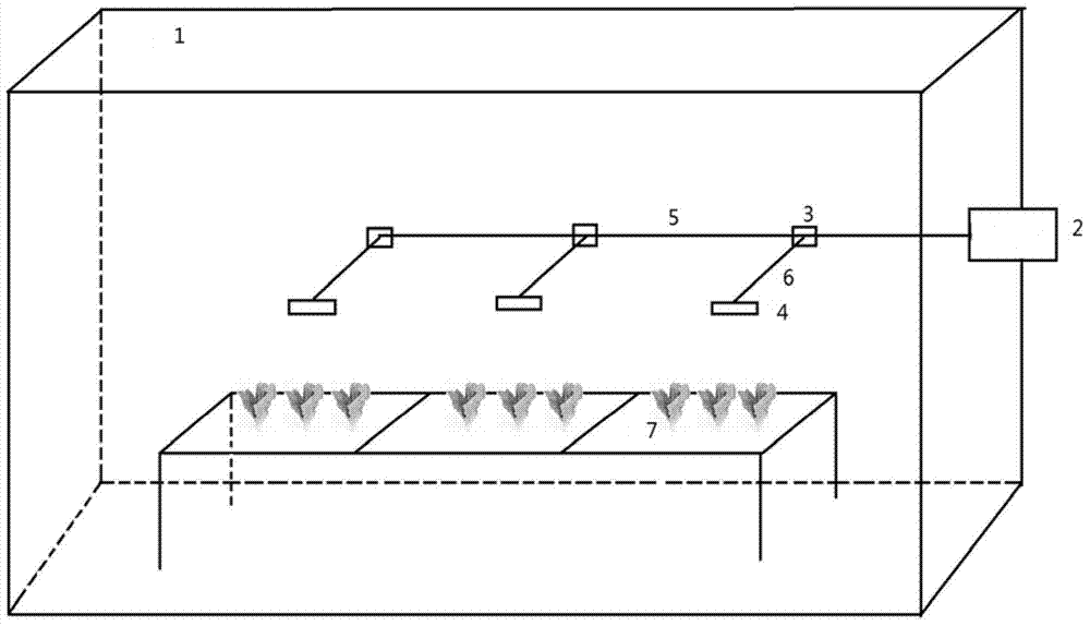 External manual photosystem with laser transmitter and using method thereof