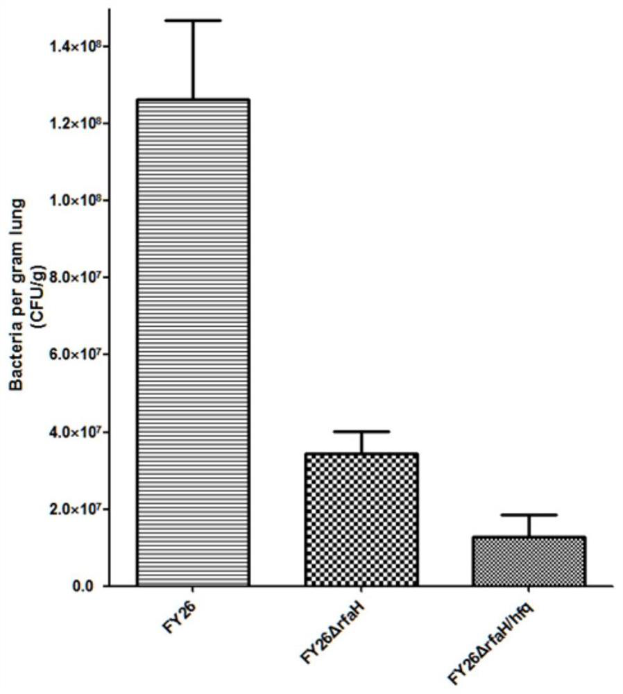 APEC (avian pathogenic E .coli) double-gene rfaH and hfq deleted strain and attenuated vaccine