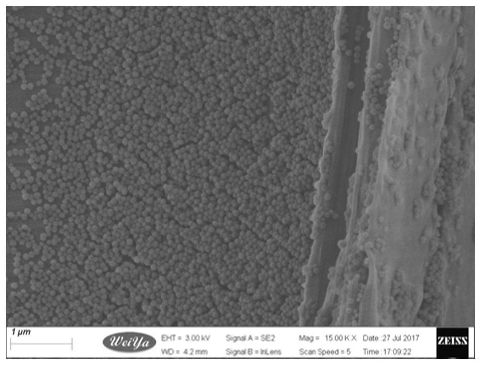 Preparation method of room temperature curing wood multifunctional modifier and wood modification method