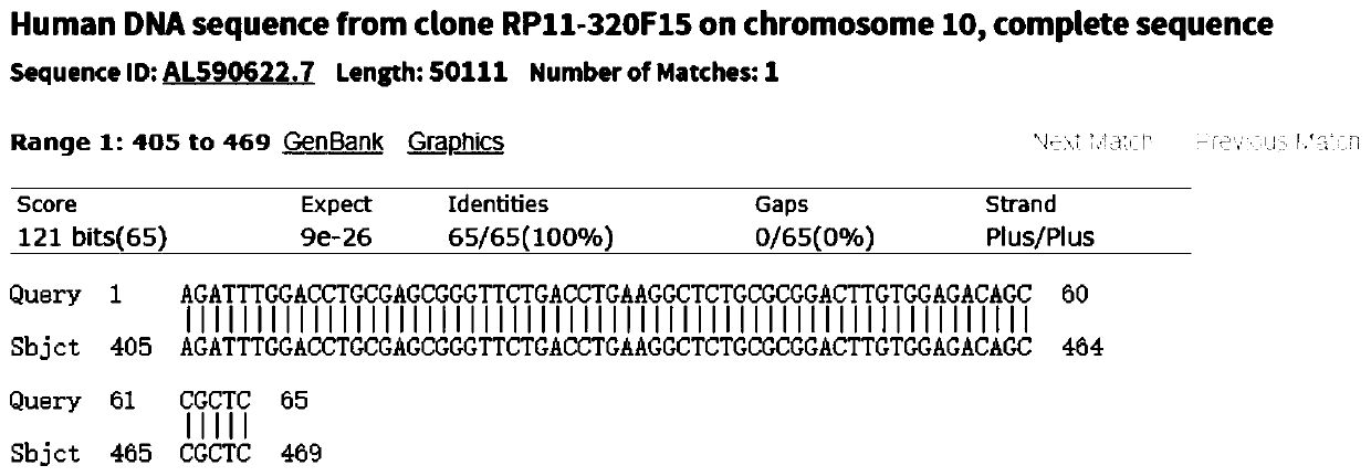 Reference gene for respiratory tract RNA virus PCR detection and detection product thereof