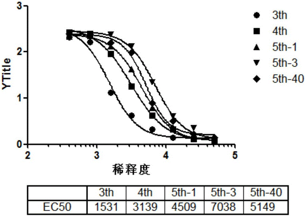 Preparation method of anti-HPV infection antibody