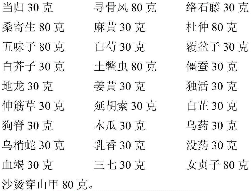 Traditional Chinese medicine composition for treating femoral head necrosis and preparation method thereof
