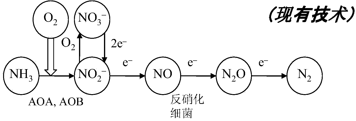 Microbial production of nitrous oxide coupled with chemical reaction of gaseous nitrous oxide including phosphorus recovery and nitrite reduction to nitrous oxide