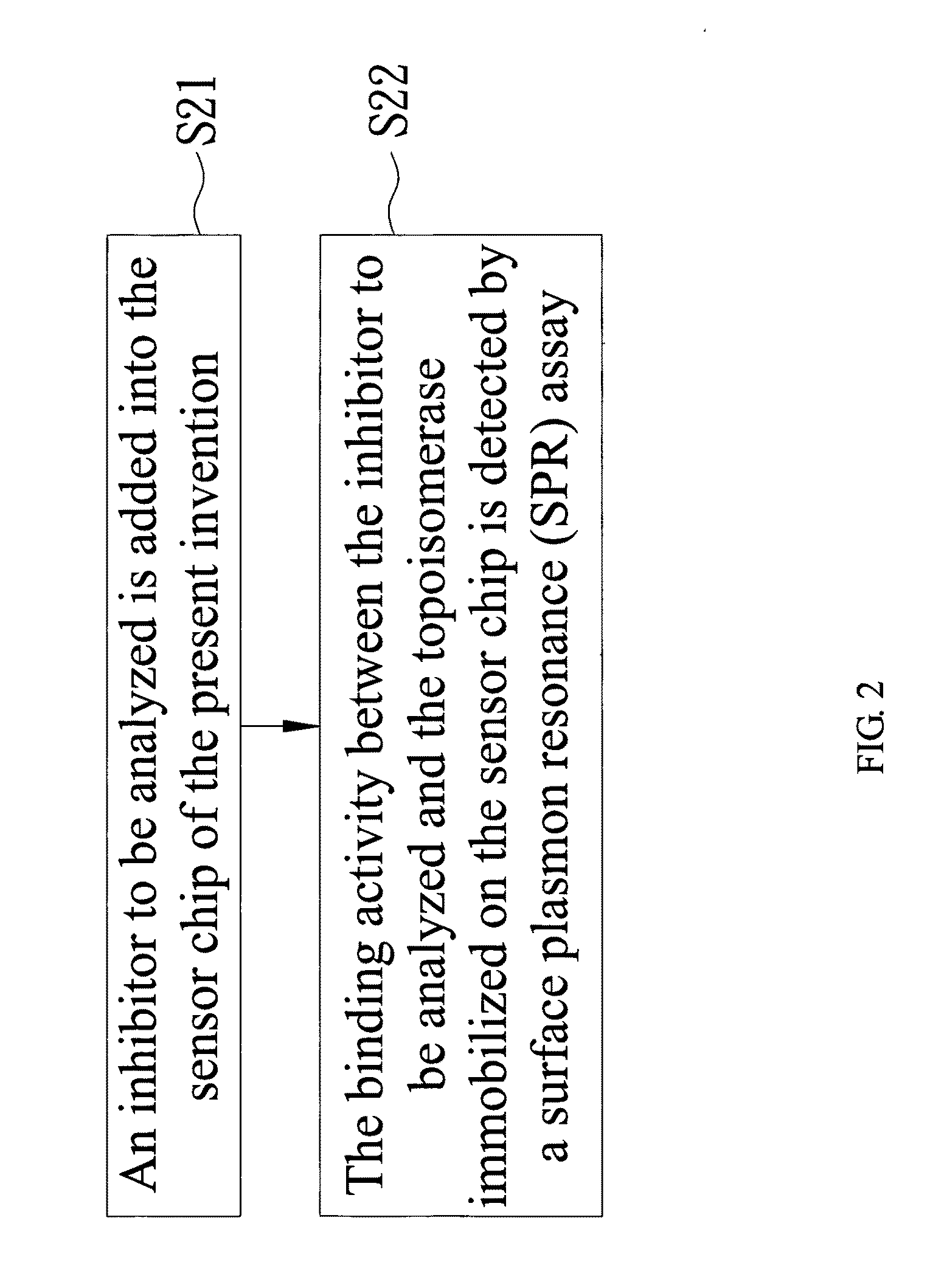 Sensor chip for screening topoisomerase inhibitor and screening method thereof