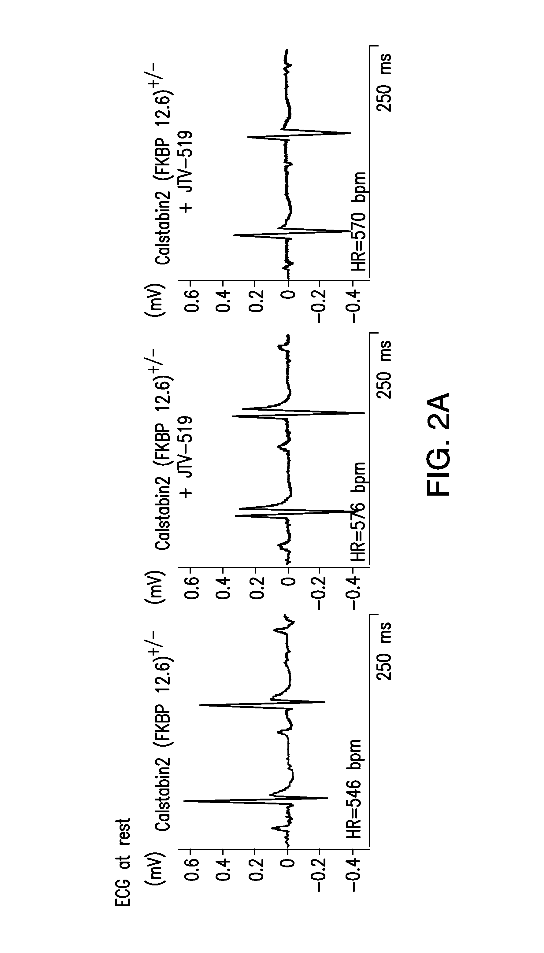 Agents for preventing and treating disorders involving modulation of the ryanodine receptors